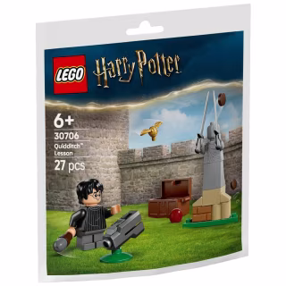 Конструктор LEGO Harry Potter Урок з Квідичу (30706)