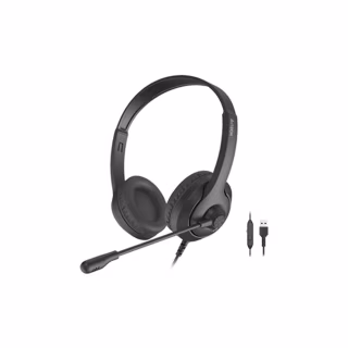 Наушники A4Tech FH100U Stone Black (4711421976978)