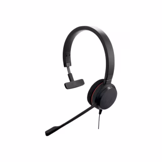 Навушники Jabra Evolve 20 MS USB C/A Mono (4993-823-169)