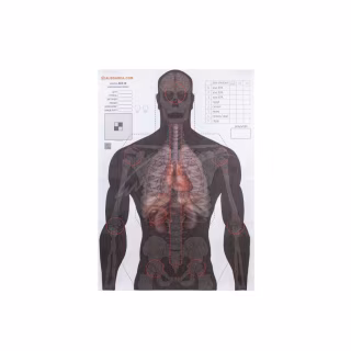 Мишень Алебарда "Анатомический силуэт" ALB-50 (566)