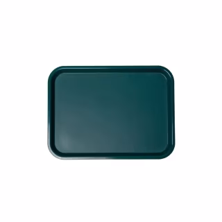 Поднос FoREST 45,6 х 35,6 см Зелена (594183)