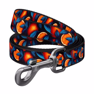 Поводок для собак WAUDOG Nylon "Апельсины" S, Ш 15 мм, Д 300 см (760-4054)