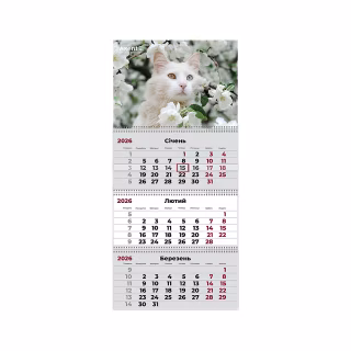 Календар Axent настінний квартальний 2026 р.,3 пружини Cats 3 (8803-26-15-A)
