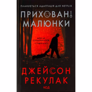 Книга Приховані малюнки - Джейсон Рекулак КСД (9786171298217)