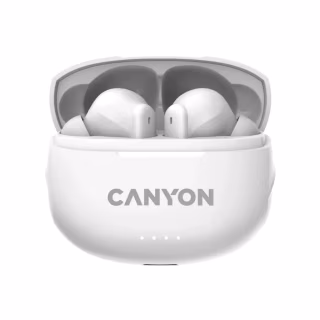 Наушники Canyon TWS-8 White (CNS-TWS8W)