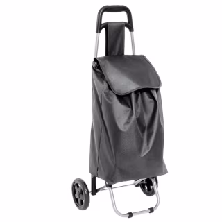 Сумка-візок Casa Si Amigo Grey (CS93098K10B) (DAS302422)