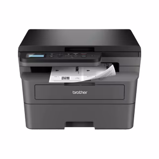 Багатофункціональний пристрій Brother DCPL2600DYJ1