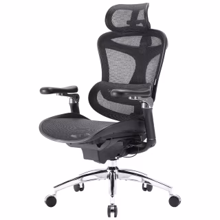Офисное кресло Sihoo DORO C300 Pro Mesh Black (DORO-C300-PRO-M101)