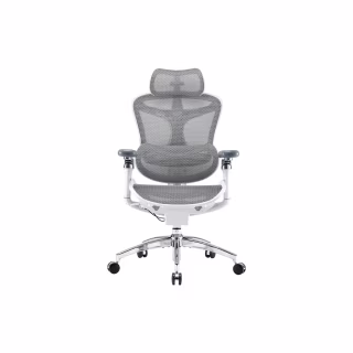 Офисное кресло Sihoo DORO C300 Pro Mesh White (DORO-C300-PRO-M102)