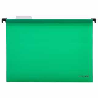 Файл подвесной Economix А4 пластиковый, зеленый (E30201-04)