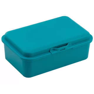 Ланч-бокс детский Economix SNACK 750 мл, бірюзовий (E98380)