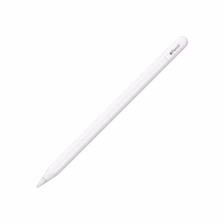 Стилус Apple Pencil (USB-C) (MUWA3ZM/A)