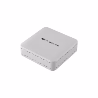 Опто-волоконне обладнання FoxGate Абонентський термінал ONU E1001MZ (ONU E1001MZ)