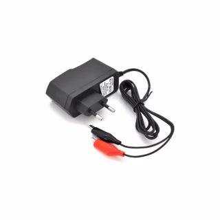 Сетевое зарядное устройство для АКБ Merlion PPI-602000