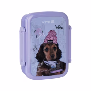 Ланч-бокс детский Kite Rachael Hale, 420 мл (R25-160)
