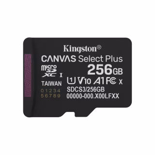 Карта пам'яті Kingston 256GB microSDXC class 10 UHS-I U1 V10 A1 Select Plus (SDCS3/256GBSP)
