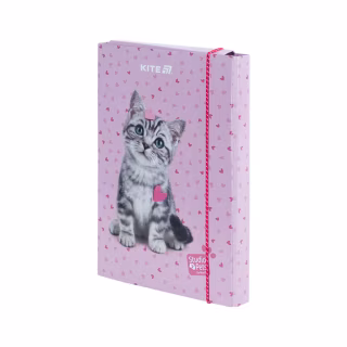 Папка для тетрадей Kite В5 на резинке Studio Pets (SP25-210)