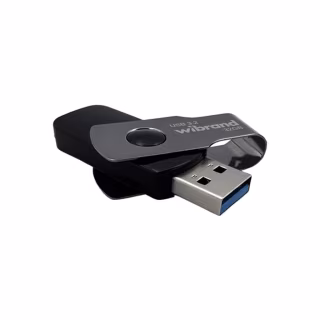 USB флеш накопичувач Wibrand 32GB Lizard Black USB 3.2 (WI3.2/LI32P9B)