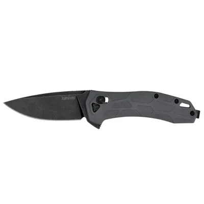 Нож складной Kershaw K2042, 442 - Silver