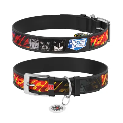 Нашийник для тварин WAUDOG Design з QR паспортом "Ліга справедливості" Ш 12 мм Д 18-24 см чорний (0012-1010-01)