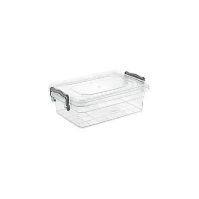 Харчовий контейнер Violet House Family Box 650 мл (0458 FAMILY BOX прям. 650 мл)