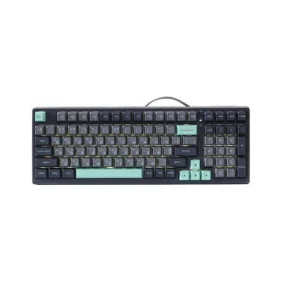 Клавіатура A4Tech FS300 FS Switches USB Panda Rock Climbin (4711421000444)