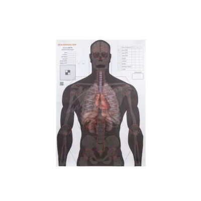 Мішень Алебарда "Анатомический силуэт" ALB-50 (566)