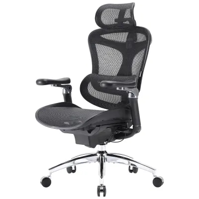 Офісне крісло Sihoo DORO C300 Pro Mesh Black (DORO-C300-PRO-M101)