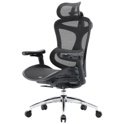 Офісне крісло Sihoo DORO C300L Mesh Black (DORO-C300L-A3-101)