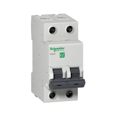 Автоматичний вимикач Schneider Electric Easy9 2P 32A C (EZ9F34232)