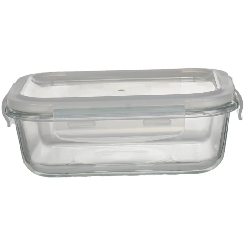 Харчовий контейнер Ecomo Thermo Box прямокутний 620 мл (3RC065-LL)