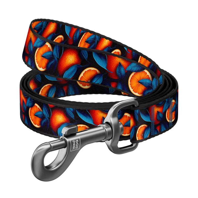 Повідець для собак WAUDOG Nylon "Апельсини" S, Ш 15 мм, Д 200 см (760-4054)