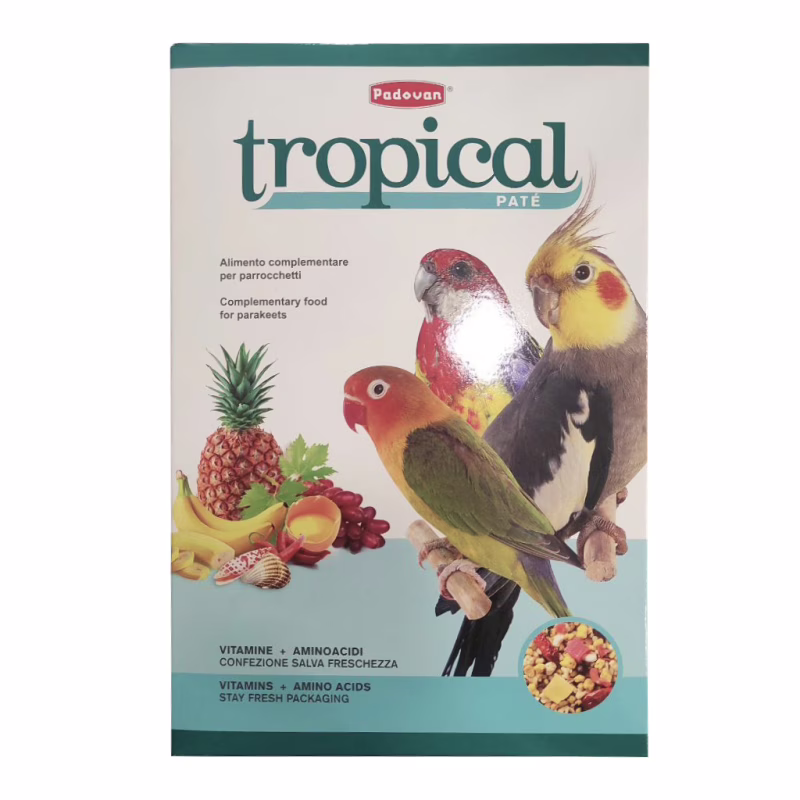 Корм для птахів Padovan Tropical pâtée для середніх папуг (нерозлучників, корелл, розел) 700 г (8001254000909)