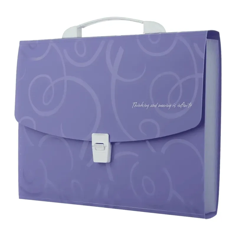 Папка - портфель Buromax A4/35мм, BAROCCO, violet (BM.3719-07)
