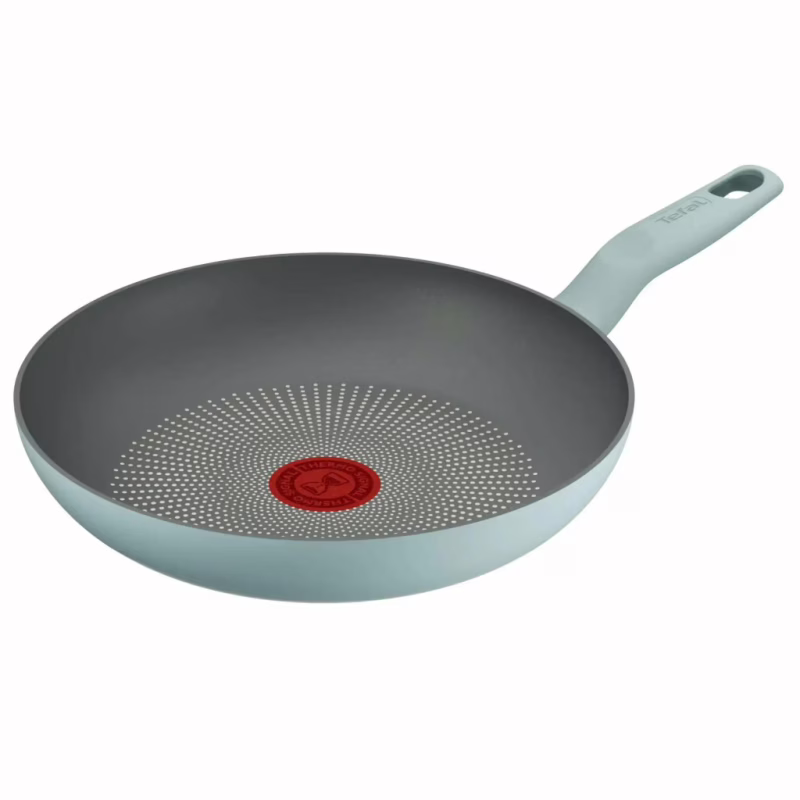 Сковорода Tefal Halo EUCALYPTUS, 24см, алюміній, бакеліт, сірий (G0160402)