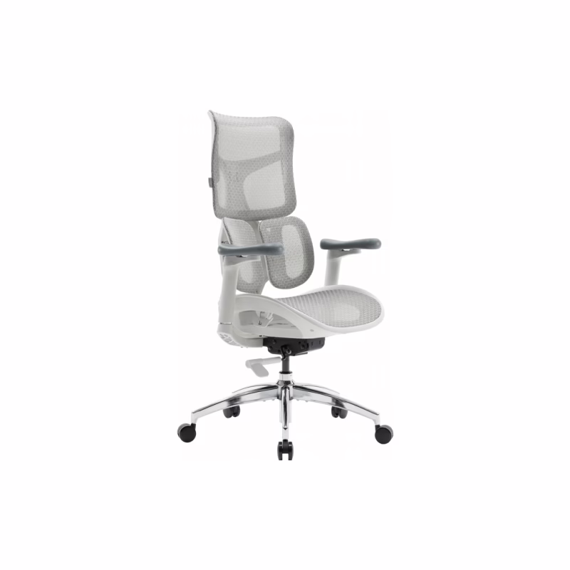 Офисное кресло Sihoo DORO S100 Mesh White (S100-M302)