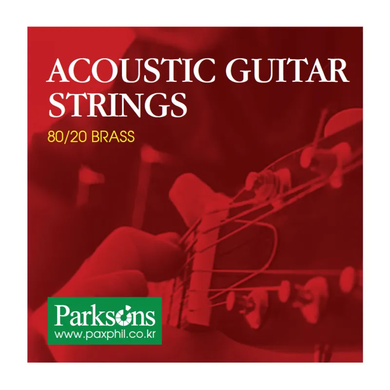 Струни для гітари Parksons Acoustic L (12-52) (S1252)
